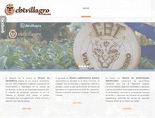 Tablet Screenshot of cbtvillagro.edu.mx